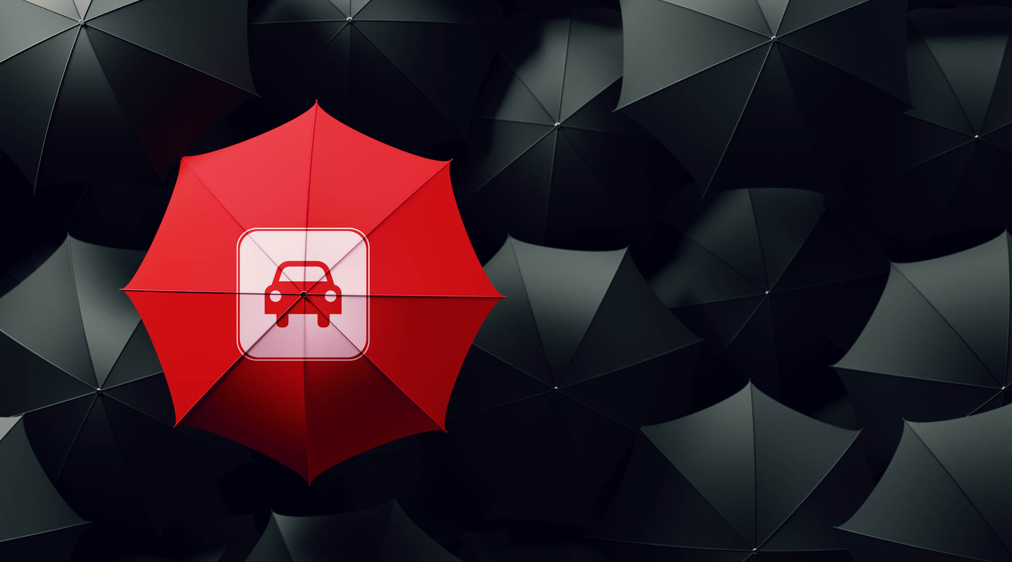 Red Umbrella Surrounded By Black Umbrellas – Car Insurance Concept insurance umbrella